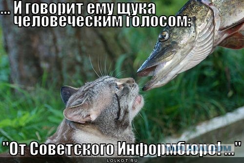 Путин поймал щуку весом 21 кг