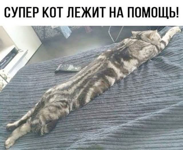 Пост для того, что надоть и давно не было!