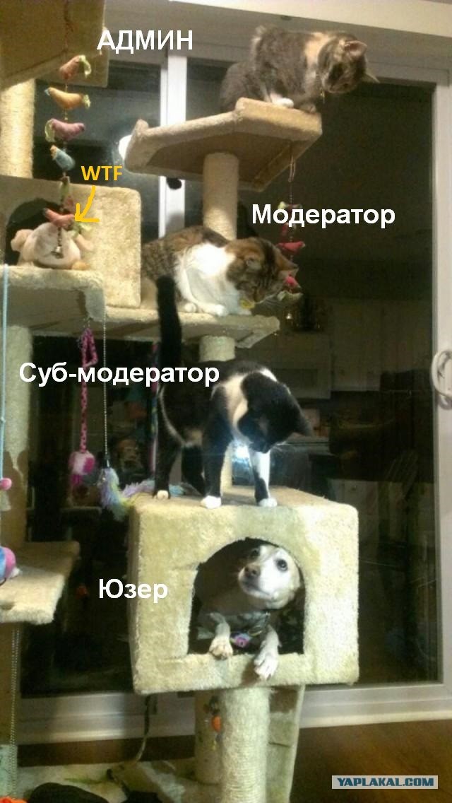 Вот мы тебя и вычислили