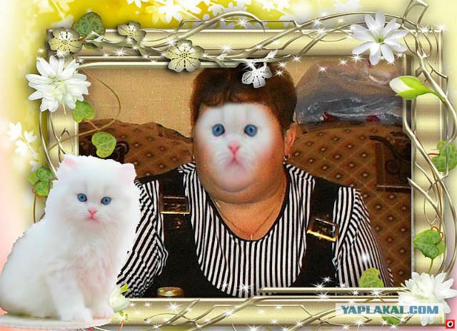 Гуру фотошопа из социальных сетей