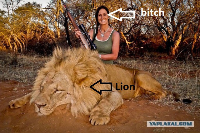 Самый трусливый поступок