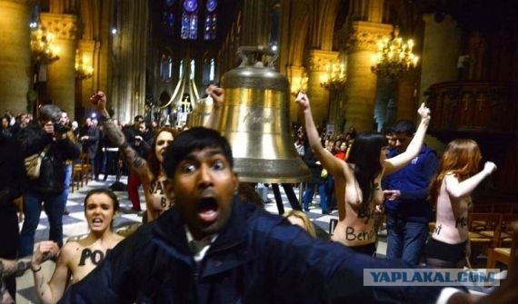 Pussy Riot избили во время их акции в Сочи
