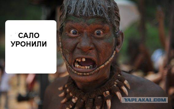 Укроимбицилы