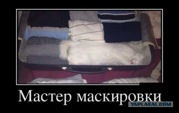 Смешные картинки с подписями 2