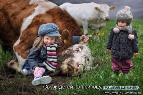 Улыбнуло часть "2"