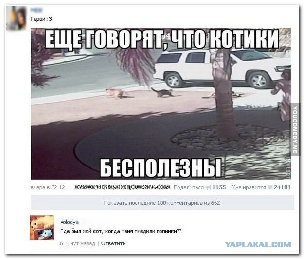 Смешные комментарии из социальных сетей