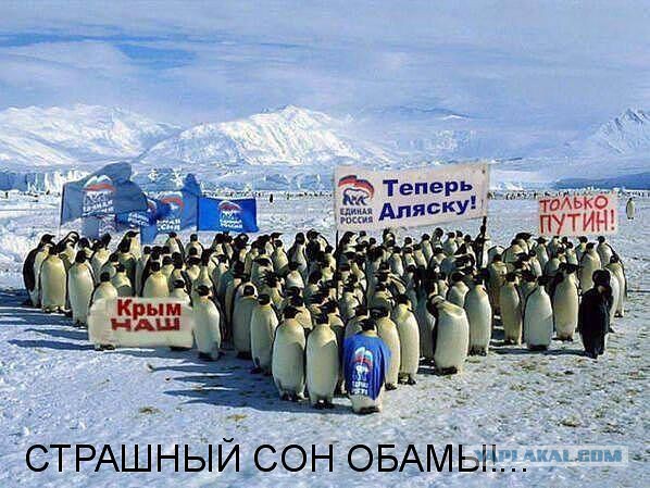 Прикольные пикчи