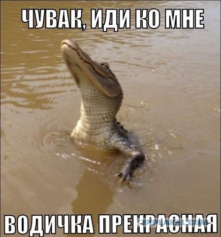 Смешные комментарии из социальных сетей 19.11.14