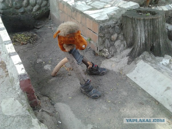 Упоротость вокруг нас