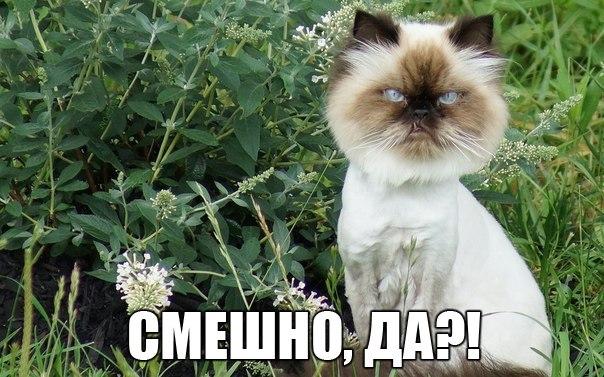 И снова йумор из разных сторон интернета