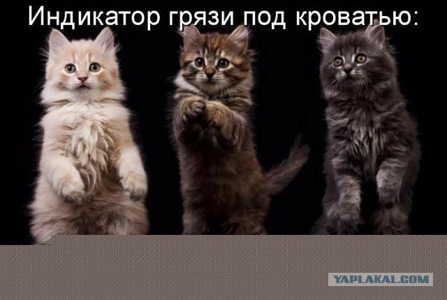 Веселая подборка