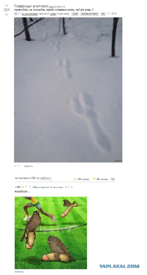 Есть следопыты на ЯПе?