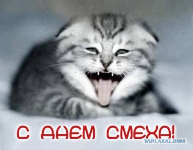 Первоапрельские пасхалки
