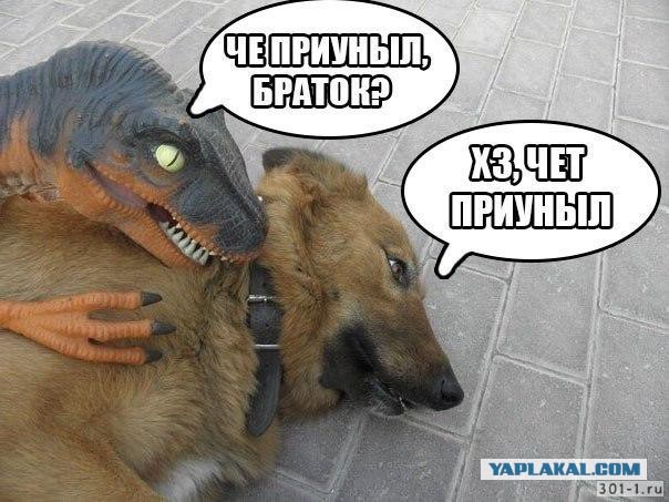 Всё - тлен
