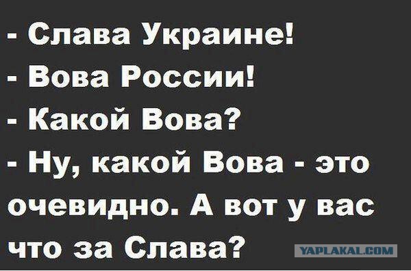 Очередное укронытье