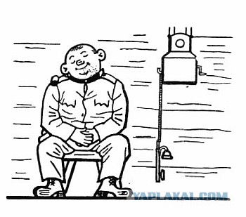 10 жизненных пронизанных сарказмом цитат из романа