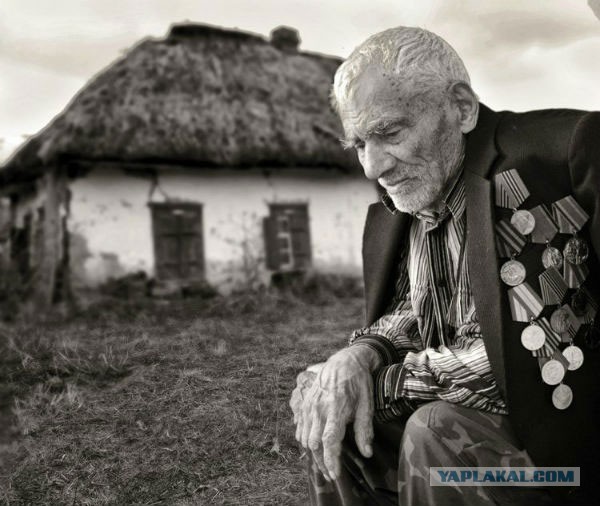 Самые трогательные фотографии войны