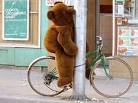 Волочкова на велосипеде врезалась в пальму