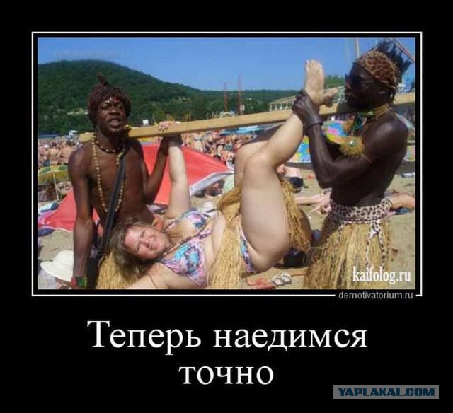 Прикольные картинки из сети