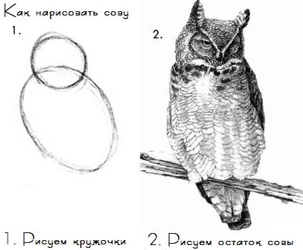 Белый ходок