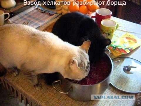 Чуть-чуть танков WoT