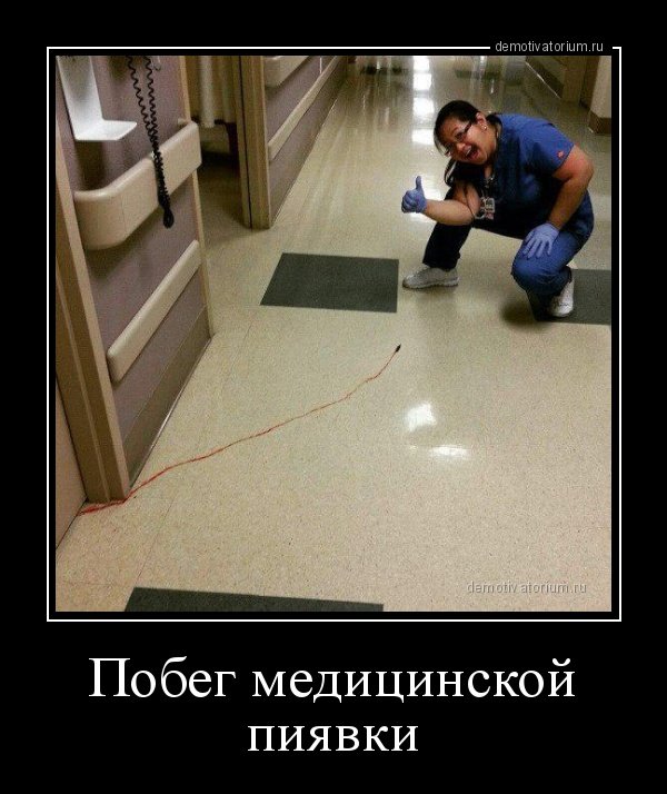 Веселые картинки