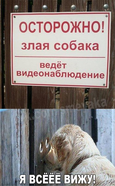 Картинки на пятницу