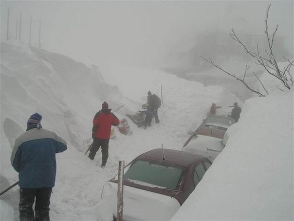 Немного картинок