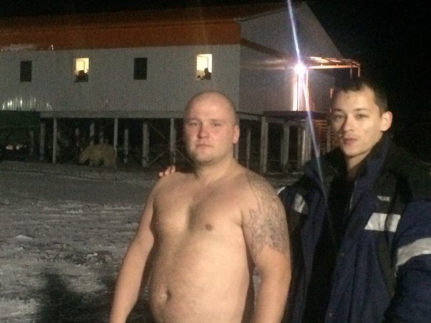 Про вброс белой медведицы