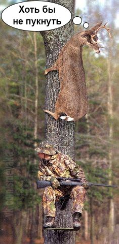 Разные картинки