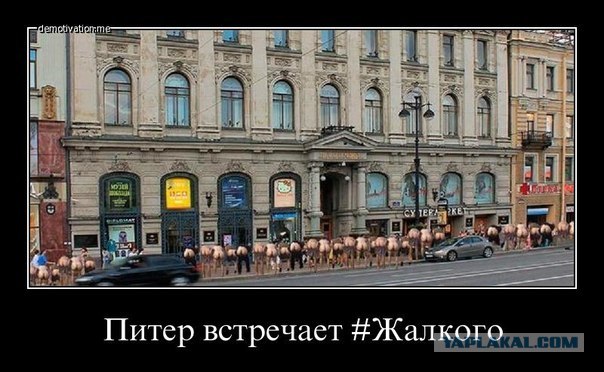 Петербург мемы