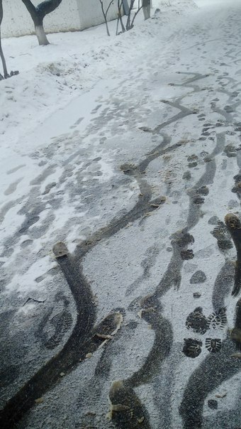 Ужасы и приколы из соцсетей