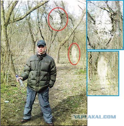 19 фотографий, где фон намного интересней переднего плана