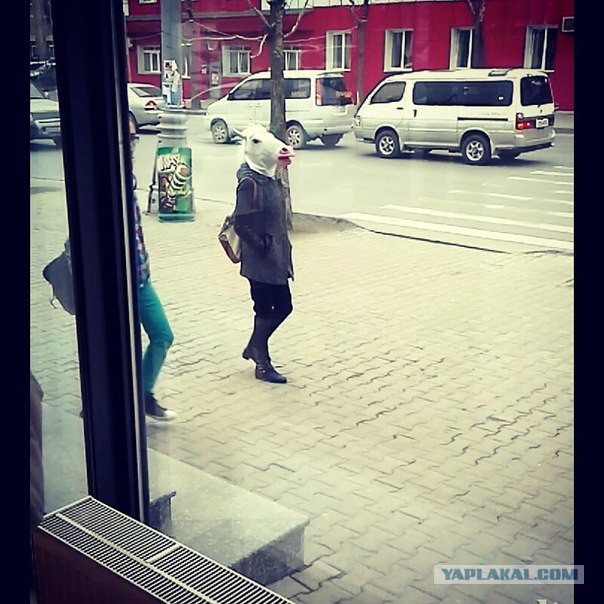 Свежая, утренняя, подборка картинок.