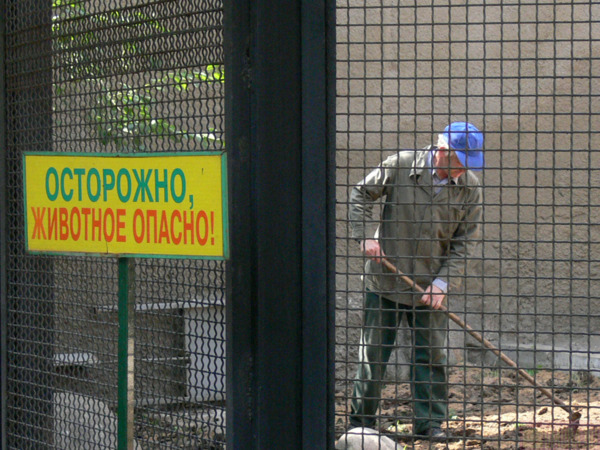 ВЫВЕСКИ, ТАБЛИЧКИ. Смешные и прикольные