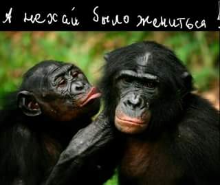Картинки с надписями