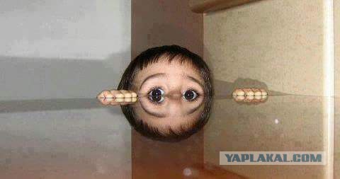 Подборка интересных и веселых картинок