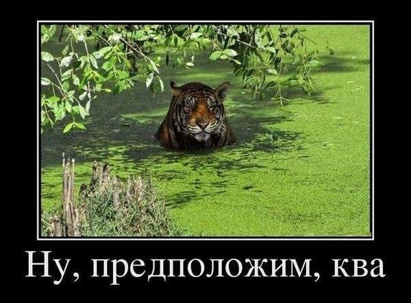Мужчины ЯП-а (те самые)
