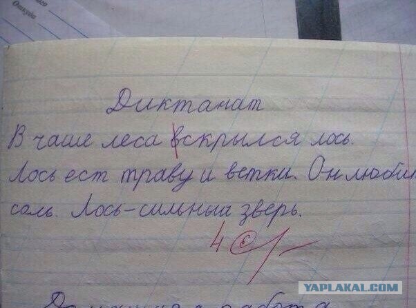 Комментарии, подписи, текстовые приколы