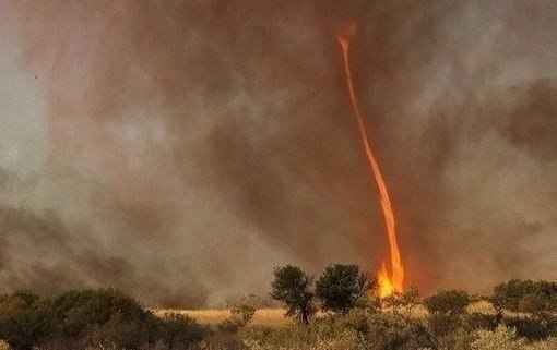 Интересные и веселые картинки