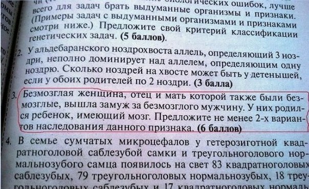 Разные фото. Прикольные и красивые