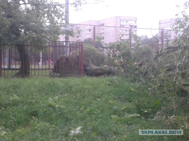 В Минске прошел самый сильный ливень за несколько лет