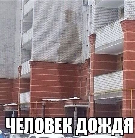 Весёлые картинки