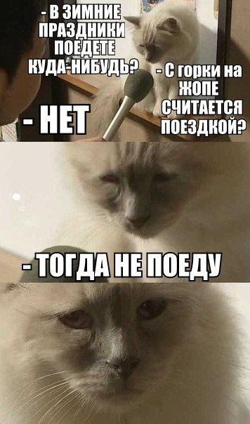 Юмор из соцсетей