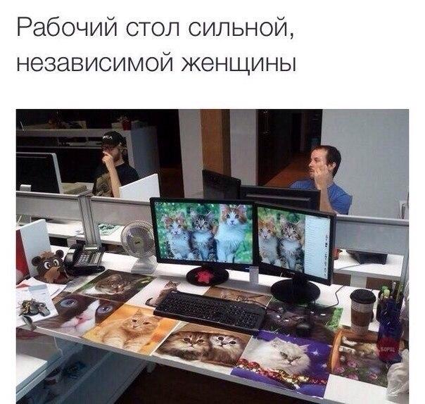 Подборка безудержного веселья