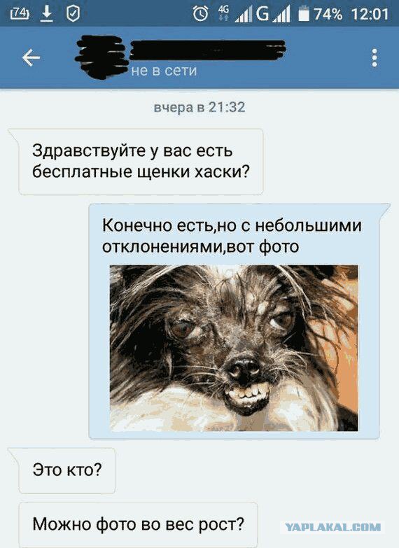 Наивная яжмать