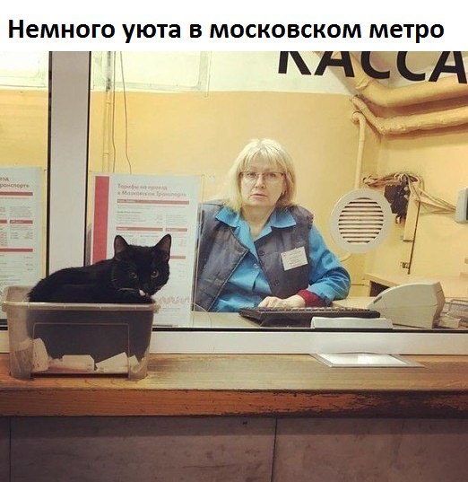 Всякие разные картинки