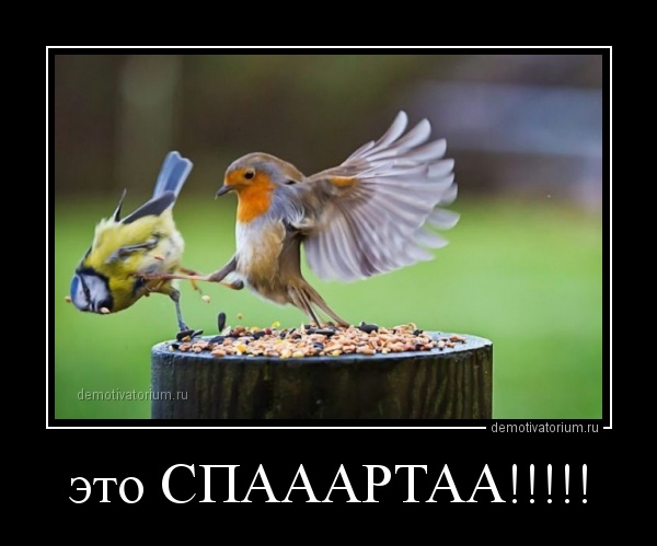 Просто юмор 20