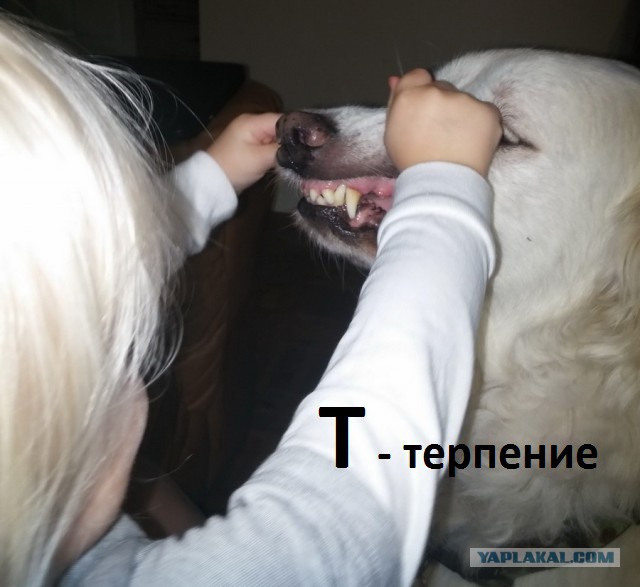 Подборка интересных и веселых картинок