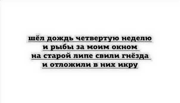 До и после "Флоренса". Апокалипсис на отдельно взятой улице